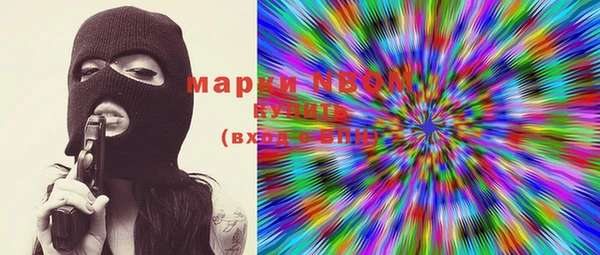 дмт Богородицк