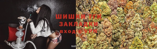 дмт Богородицк