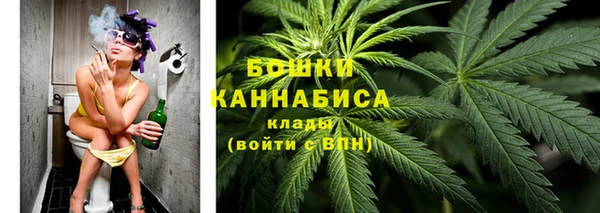 ECSTASY Богородск